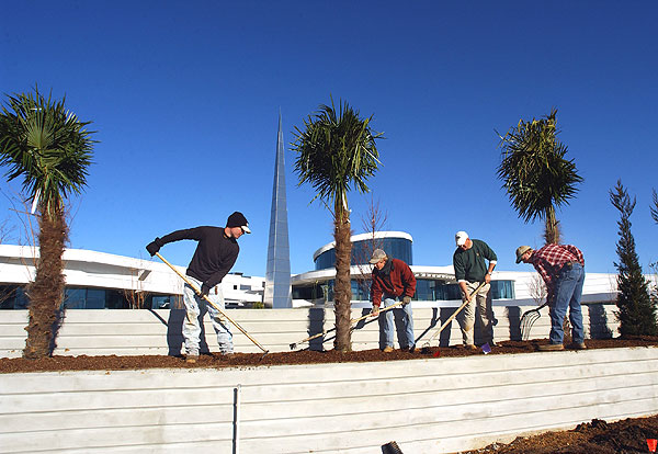 Landscaping Palm Trees at Hunter Henry Center