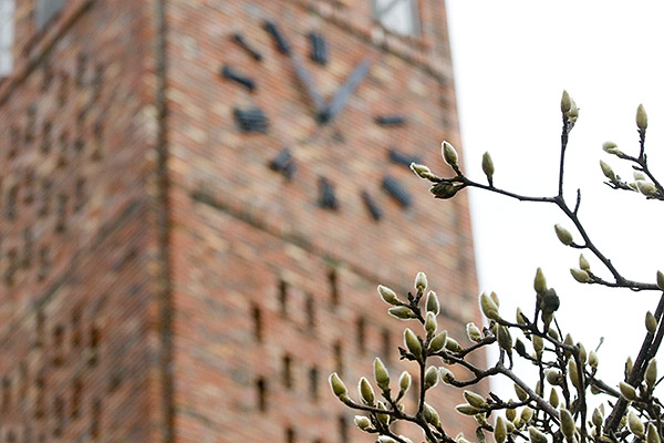 Chapel with magnolia buds