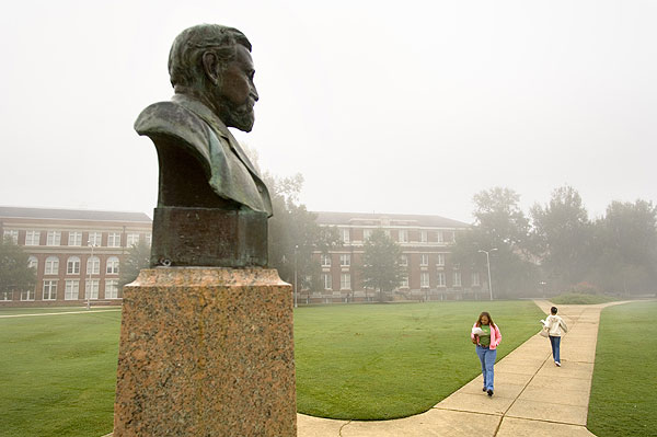 Foggy Drill Field