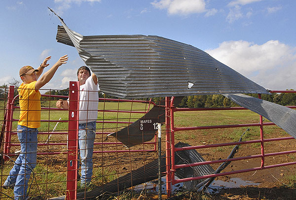 Wind Damage on South Farm