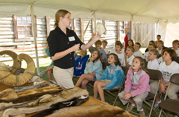 Wood Magic  Science Fair for 4th graders