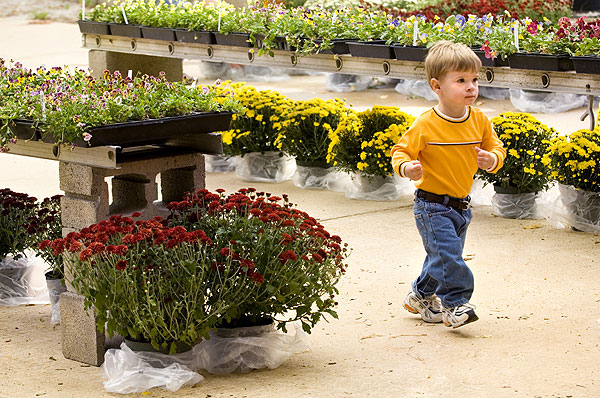 Fall Horticulture Plant Sale