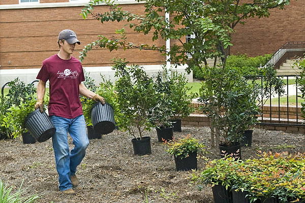 Landscaping Lee Hall