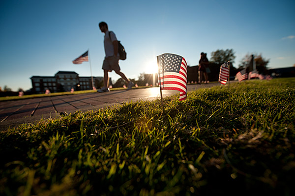 Veterans Awareness Week flags