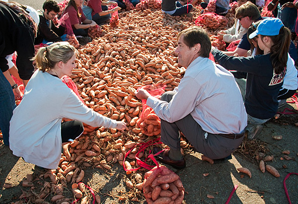 Sweet Potato Drop