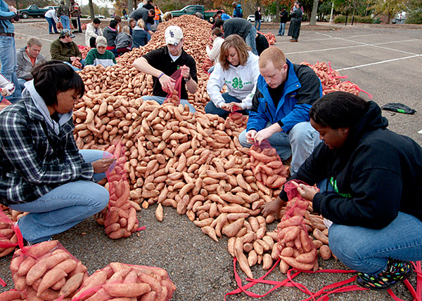 Sweet Potato Drop