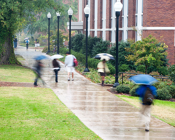 Rainy days at MSU