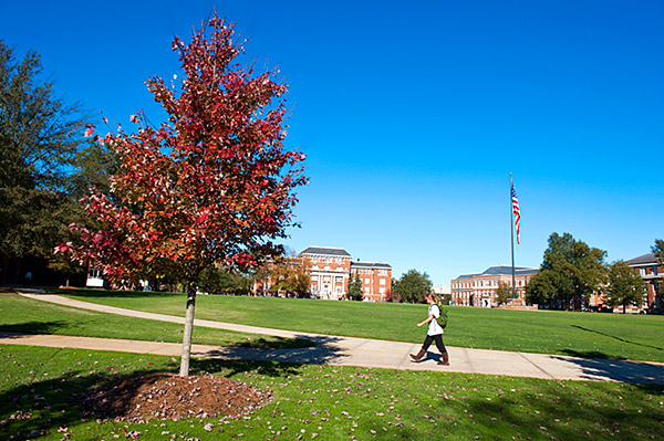 Fall colors on The Drill Field