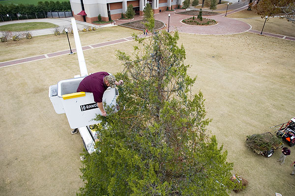 Putting lights on the Junction Christmas tree