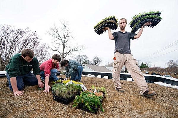 Landscape Architecture Installs Green Roof