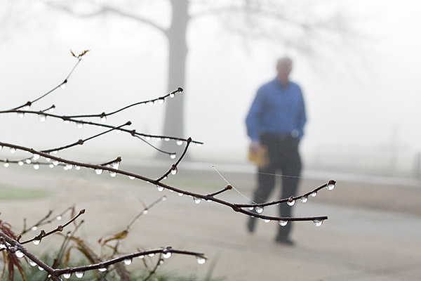 Foggy Morning