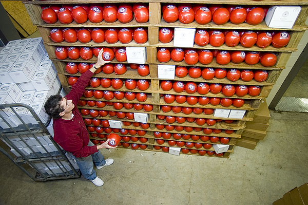 David Hall checks out his inventory of Edam cheese