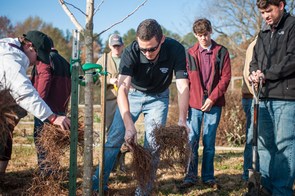 Maroon Edition Unbowed Tree Planting