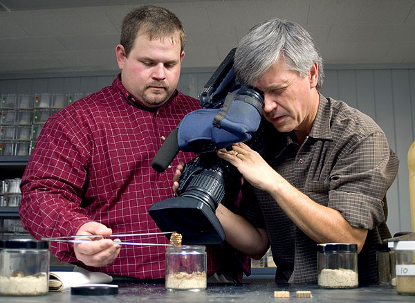 Termite filming at Forest Products