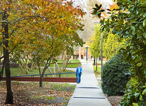 Colorful passage to finals