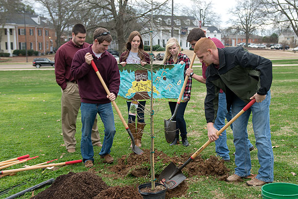 Students planting tree in front of Bost for Arbor Day