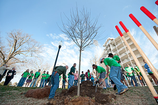 Arbor Day Tree Planting