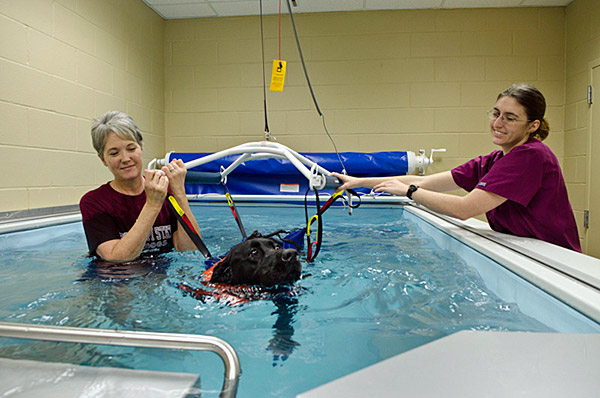 New Pool Therapy at CVM