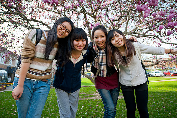 BIT students in front of Japanese Magnolia tree