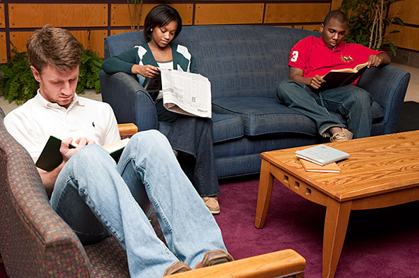 Reading in the Library