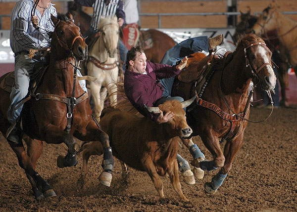 Rotary Classic Rodeo at Horse Park