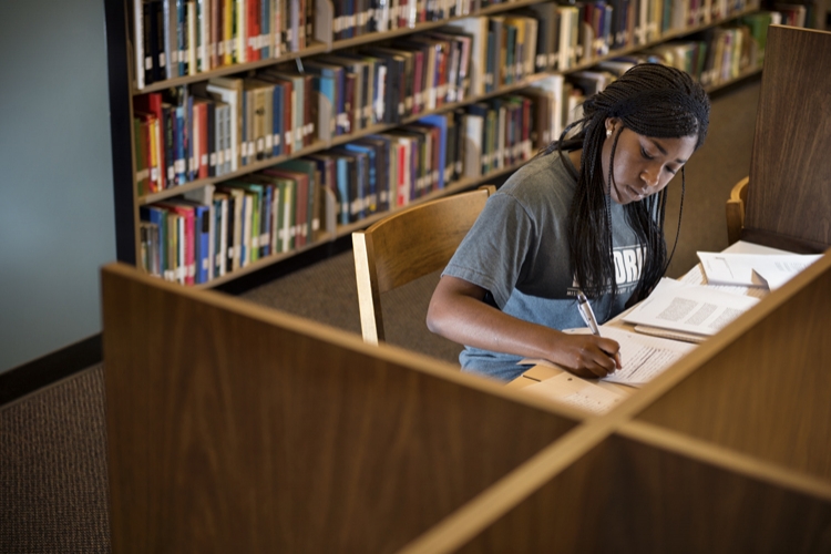 Library Studying