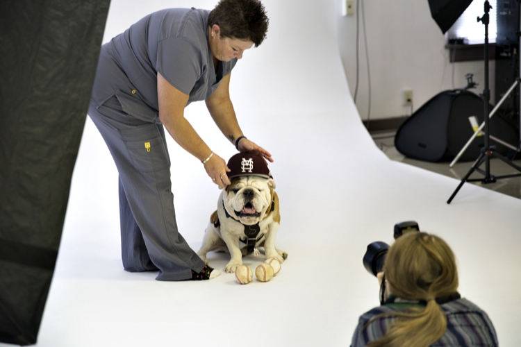 Bully Champ Photoshoot