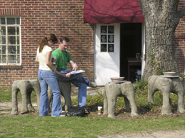 Pottery Consultation