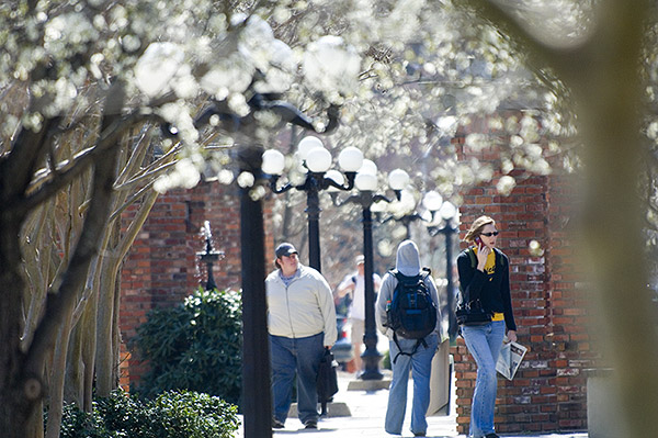 Spring blossoms by Chapel