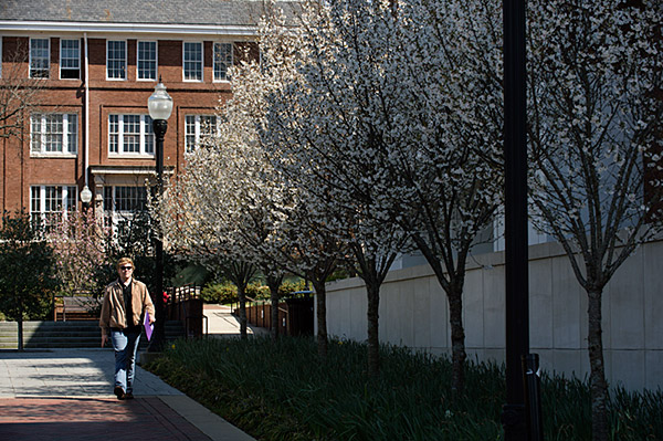 Blossom Walking