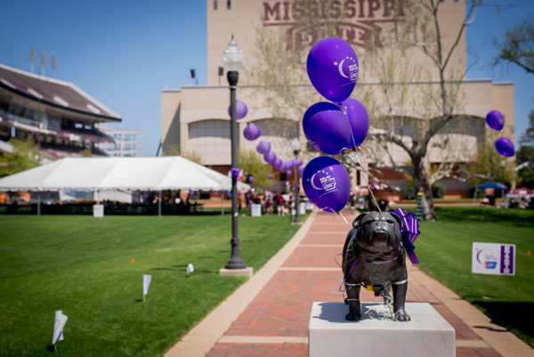 MSU Relay For Life