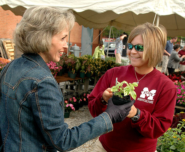 Horticulture plant sale