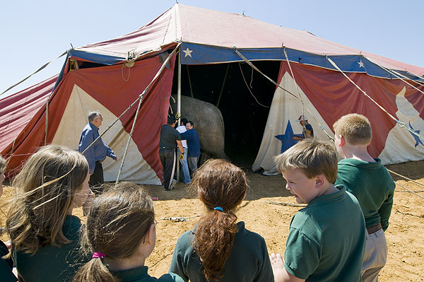 Raising the big tent at Horse Park circus