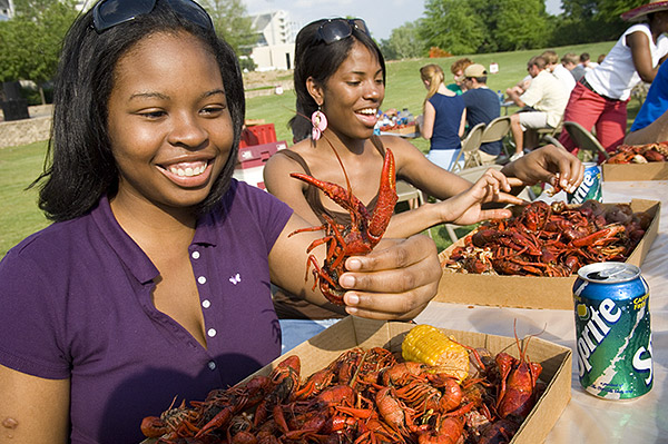 Crawfish Boil