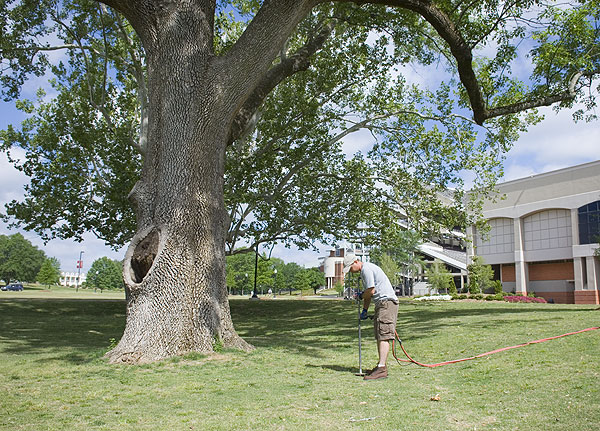 National Tree Preservation Inc helps out MSU trees