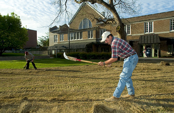 Sod heals construction wounds