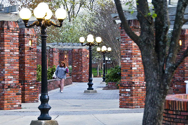 Early Morning stroll to class