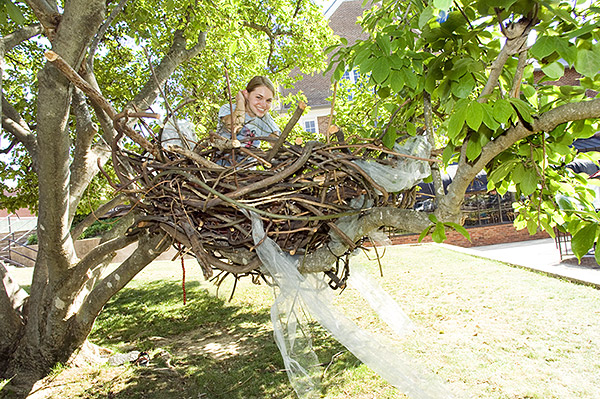 Nest sculpture project