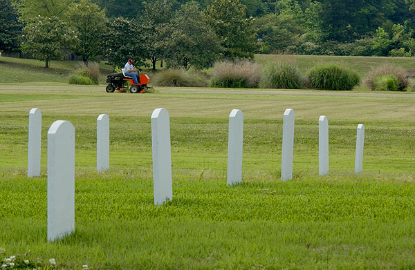 Research on turf &amp;amp;amp;amp; cemetary grass