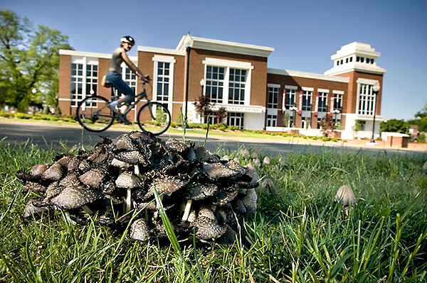 Colvard Student Union with mushrooms