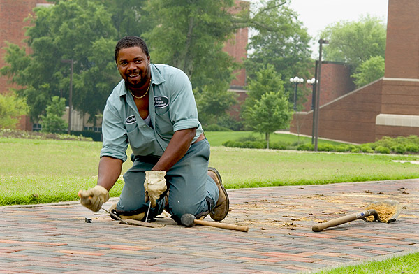 Mending the brick paths