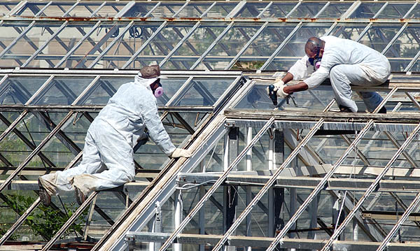 Taking down greenhouse