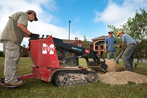 Planting Trees Near Griffis Hall