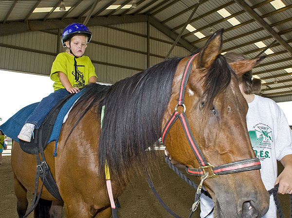 Camp Jabberjaw at the Horse Park