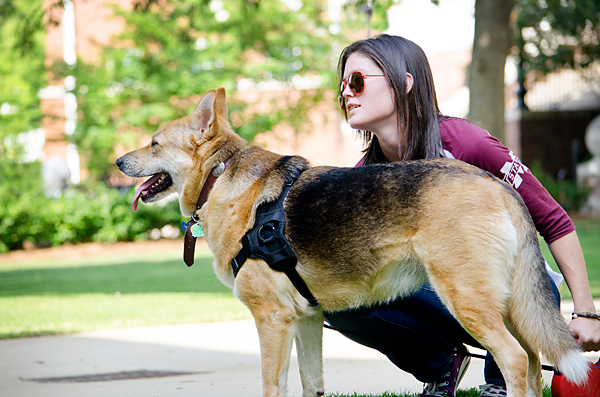 Walking Dog on Drill Field