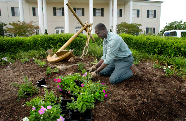 Planting pansies at the DG sorority house