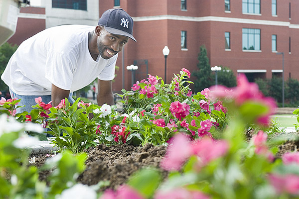 Summer landscaping