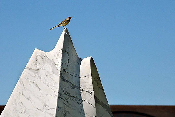 Sculpture as Mockingbird Mountain