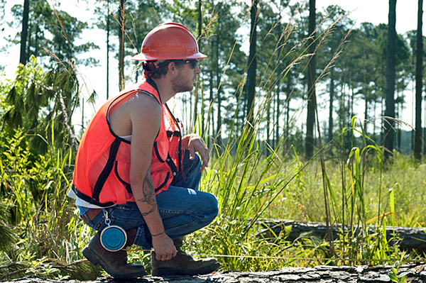 Forestry Summer Field Program