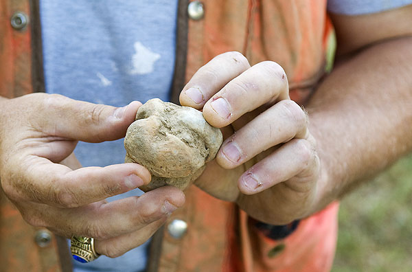 Poverty Point Archaeology